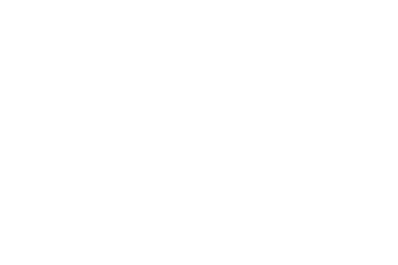 Metrodom